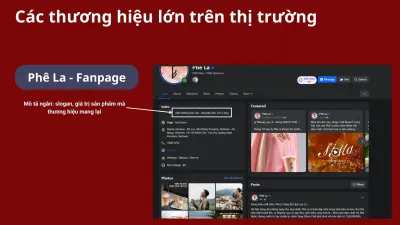 Dịch vụ SEO tổng thể webiste thương hiệu/ doanh nghiệp